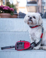 Dog with Urban Trail Leash