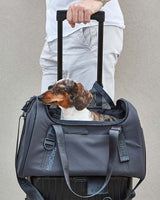 MiaCara Volata Airline Dog Travel Carrier - Petlux