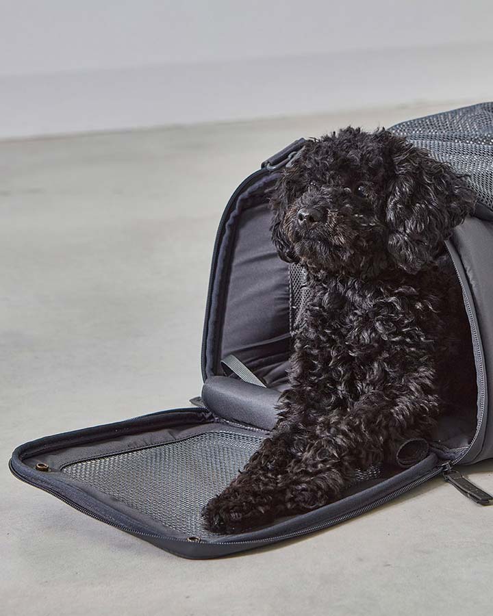 Volata Airline Dog Travel Carrier - Petlux