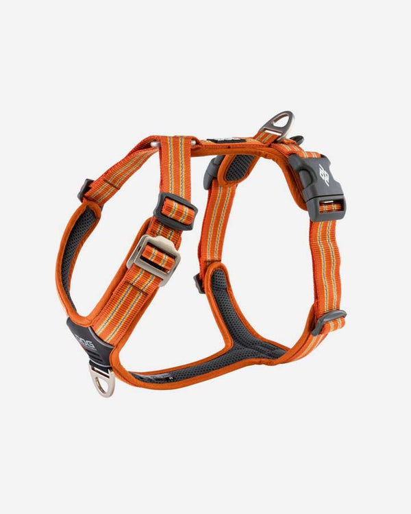 Comfort Walk Air Dog Harness - Orange Sun - PetLux