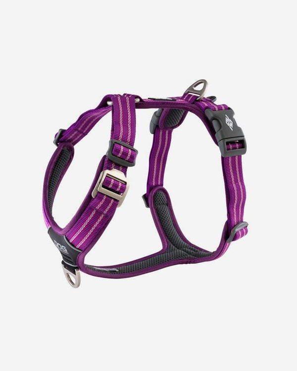 Comfort Walk Air Dog Harness - Purple - Petlux